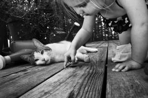 Danielle VOIRIN - DANIELLE VOIRIN PHOTOGRAPHE