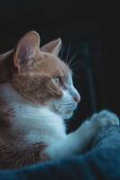 Hugo VIALADE - SNOZE LAB